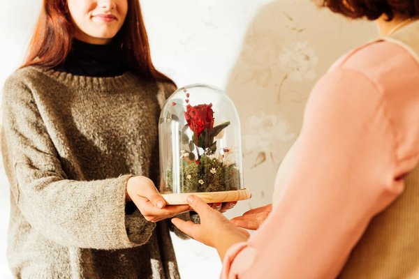 Élégance intemporelle : les roses éternelles sous cloche